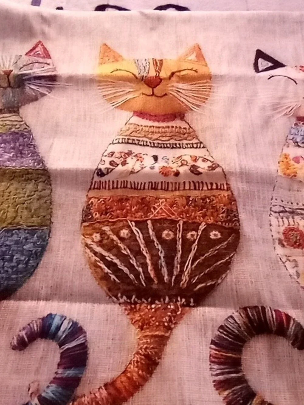 Catstudio soft multicolor